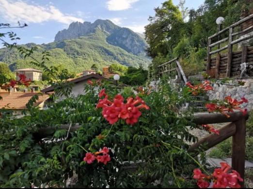 Agriturismo La Calamaia Gorfigliano Kültér fotó